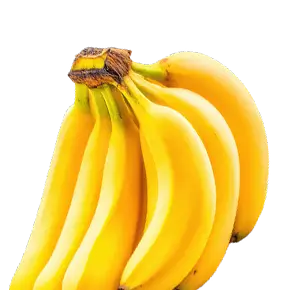 Organic